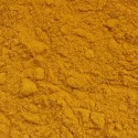 Curcuma