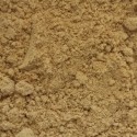 Gingembre poudre