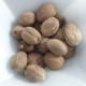 Noix de muscade